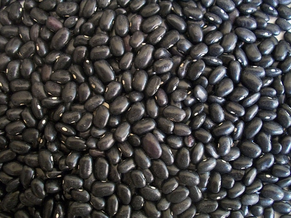 Organic Black Turtle Bean Uncooked Aus grown