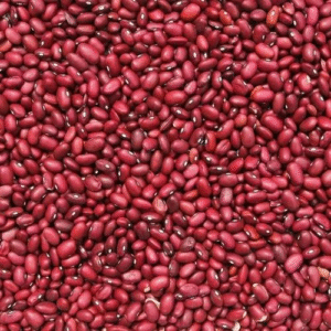 Organic Small Red Bean Uncooked Aus grown